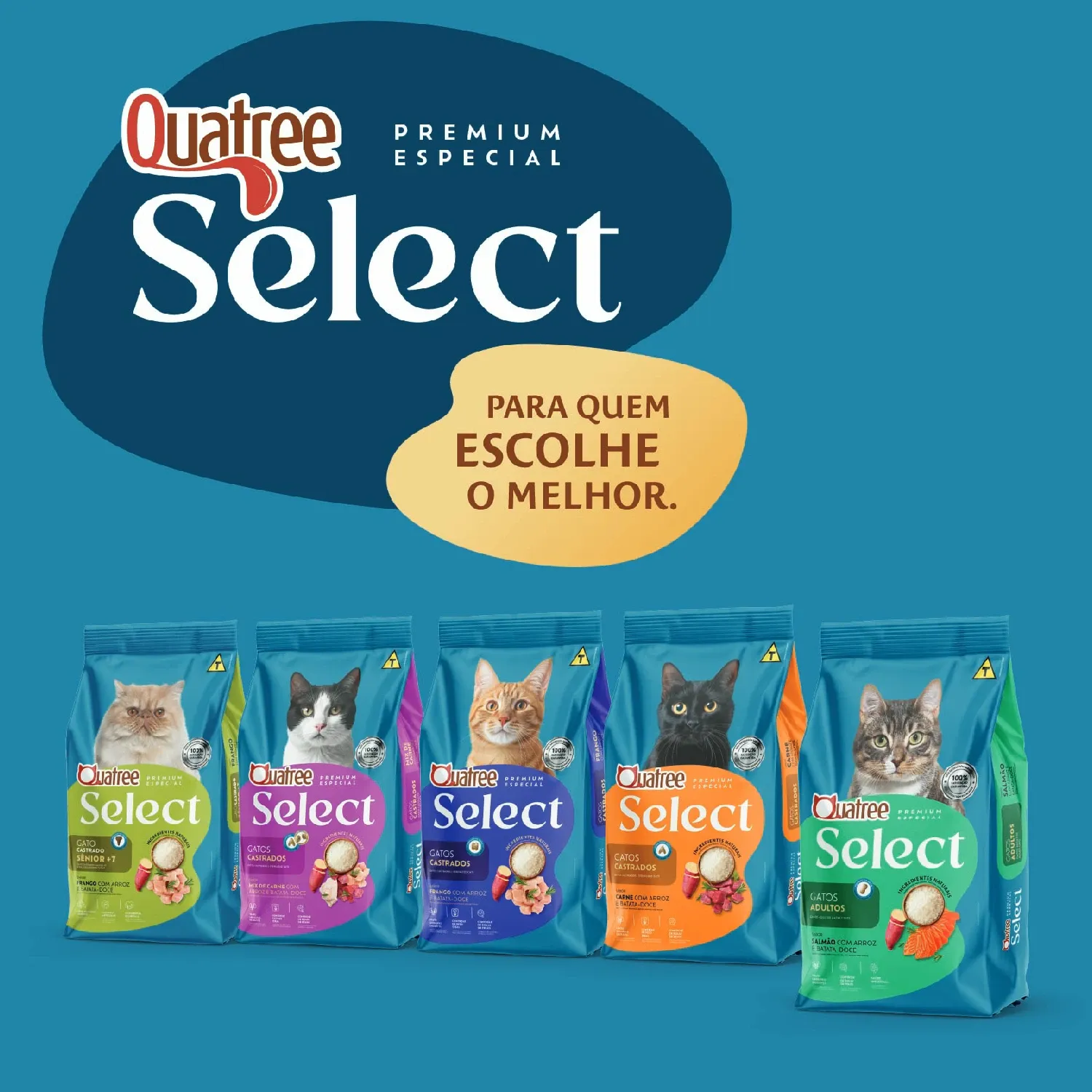 Linha completa select-09